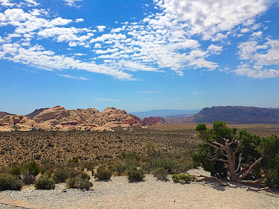 Thrifty Wife, Happy Life || 30 Kid friendly places in Las Vegas, Red Rocks
